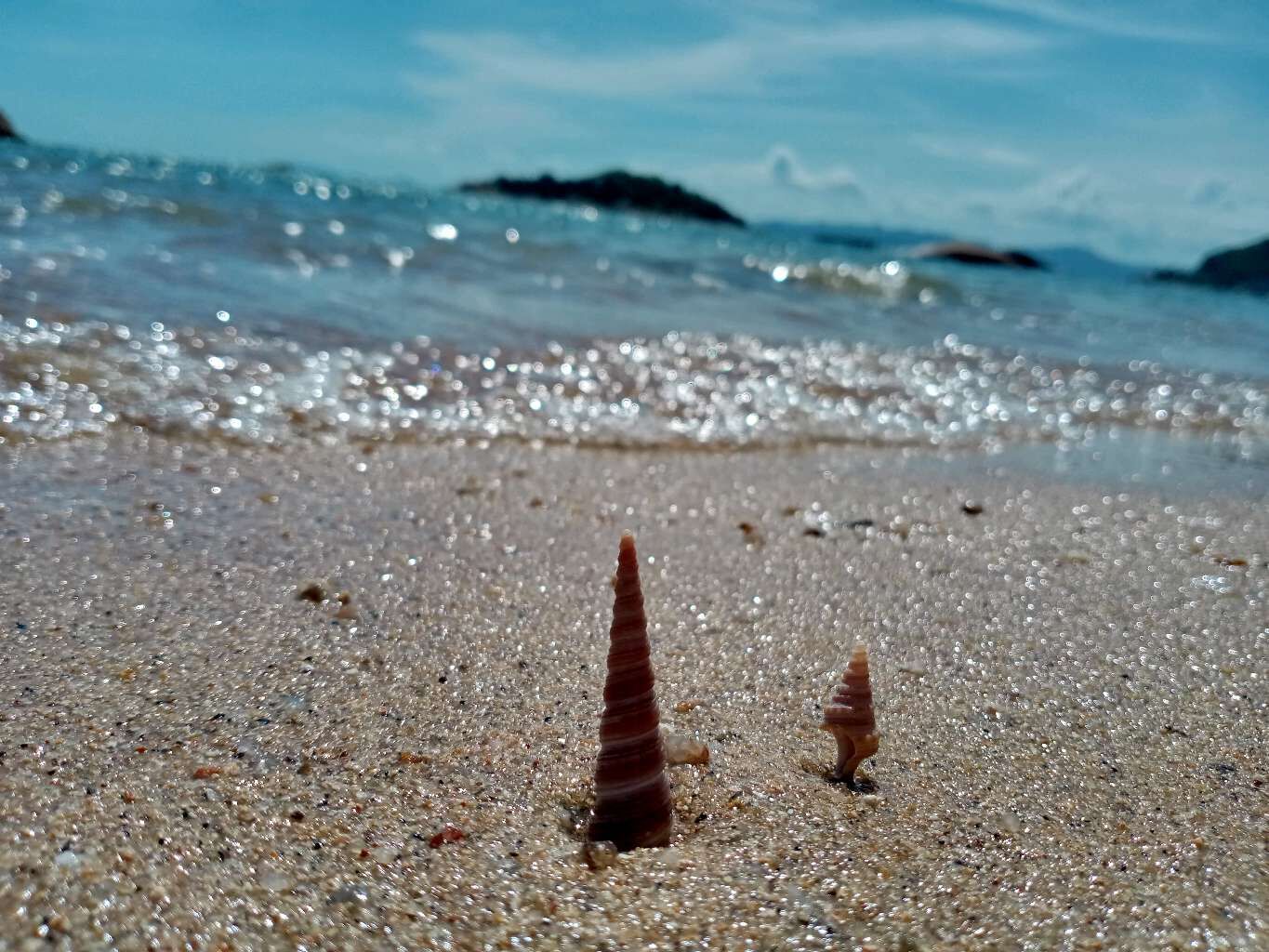 海内存知己，天涯若比邻